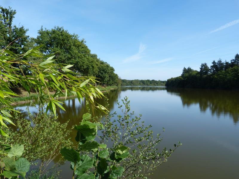 Argentré-du-Plessis