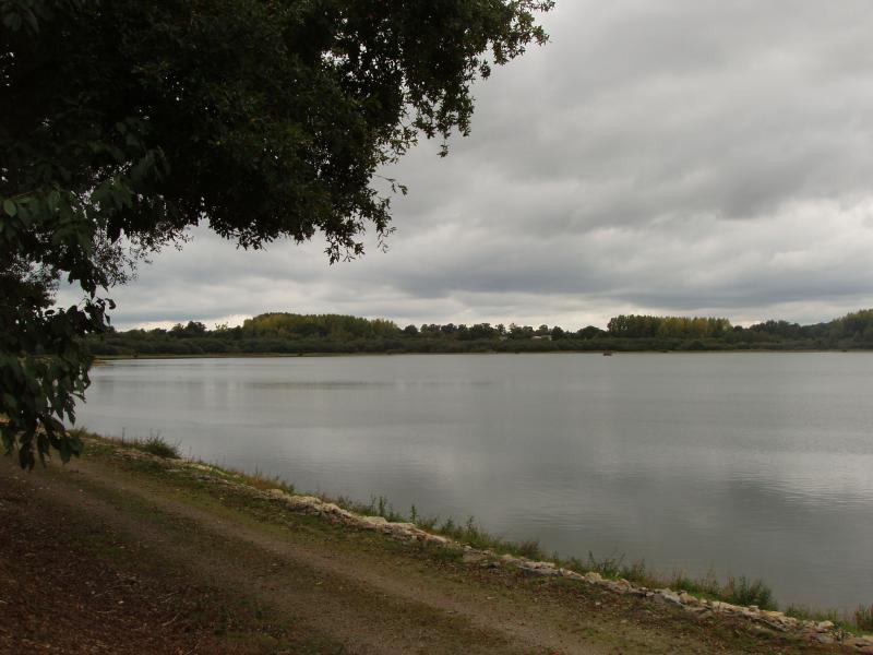Erbrée