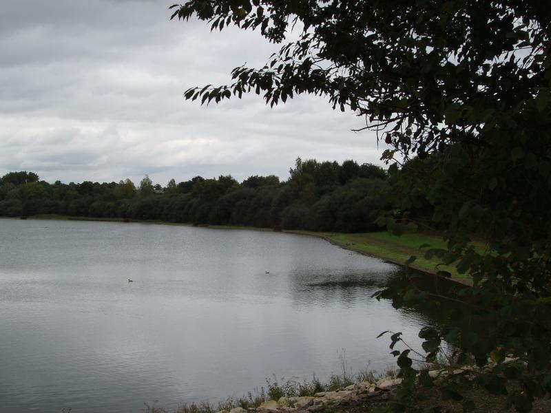 Erbrée