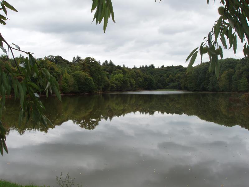 Étrelles