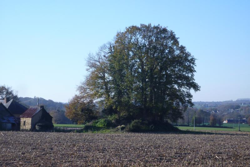 Gévezé
