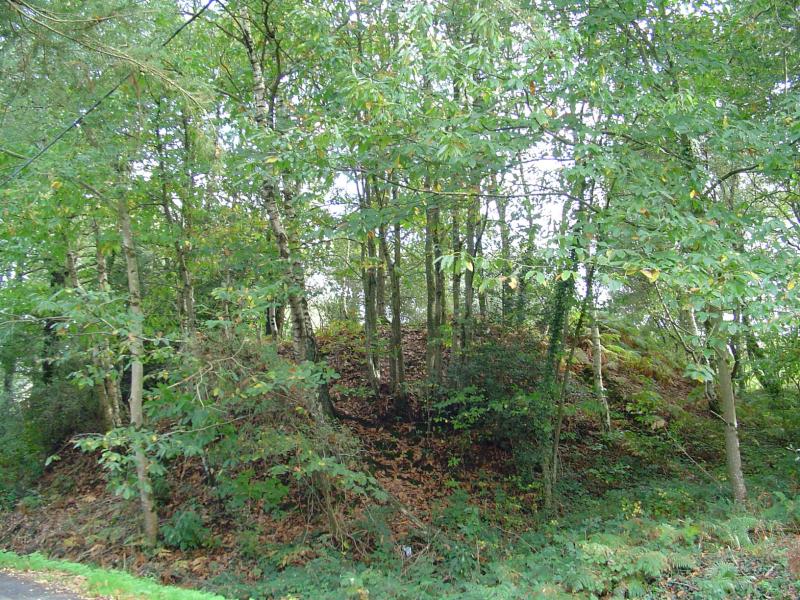 Goven