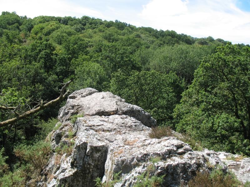 Luitré-Dompierre