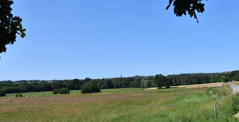 Saint-Père-Marc-en-Poulet