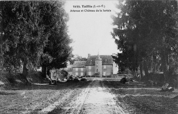 Taillis