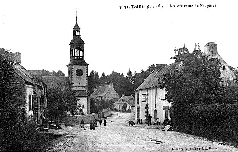 Taillis