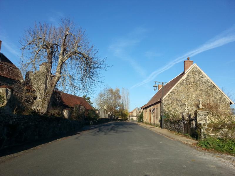Cuzion