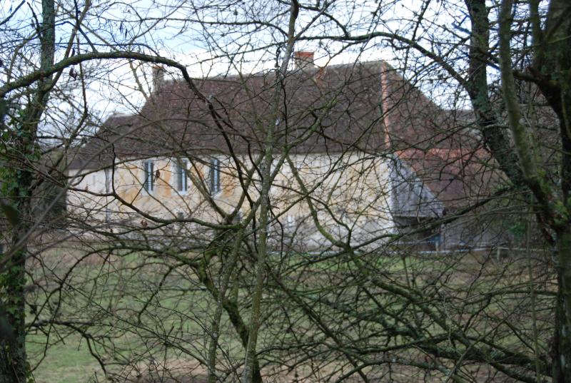 Frédille