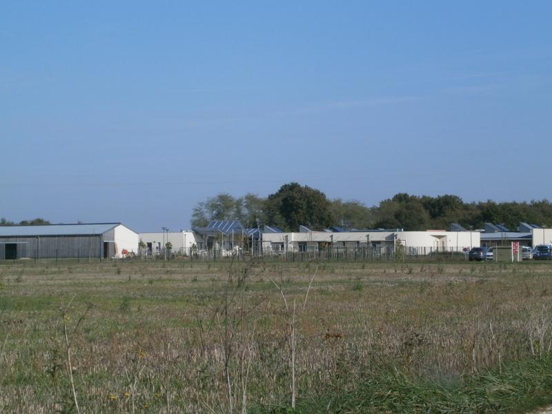 Cigogné