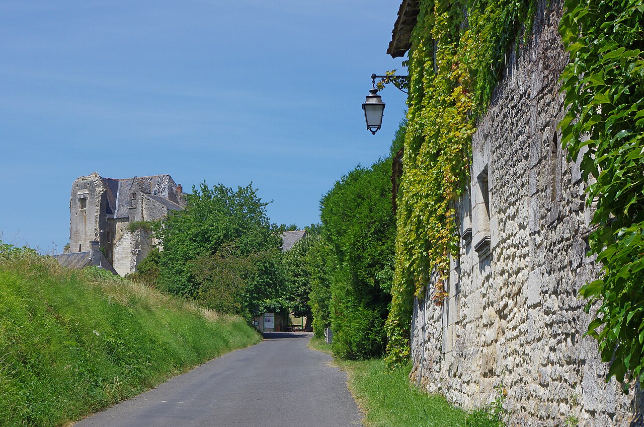 Photo 9 — Crissay-sur-Manse, Indre-et-Loire (37220)