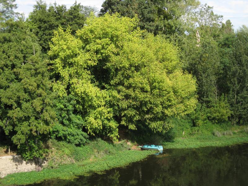 Pouzay