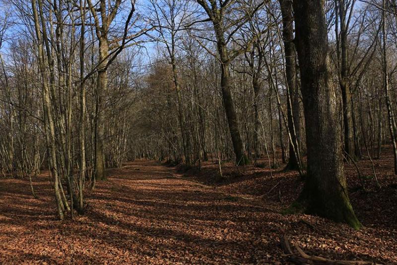 Preuilly-sur-Claise