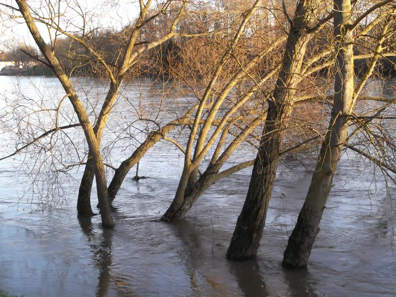 Saint-Cyr-sur-Loire