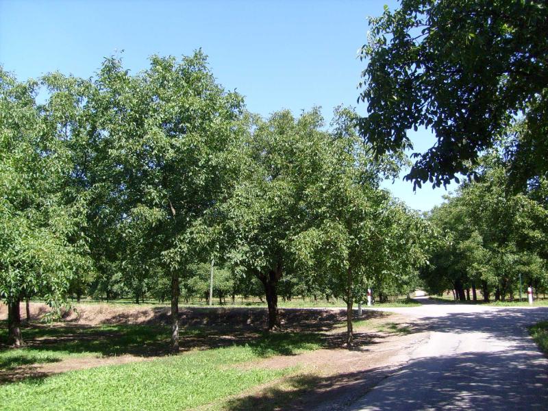 Vue de L'albenc, Isère (38470)