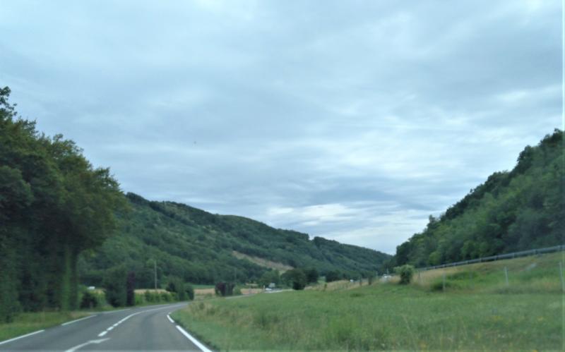 Colombe