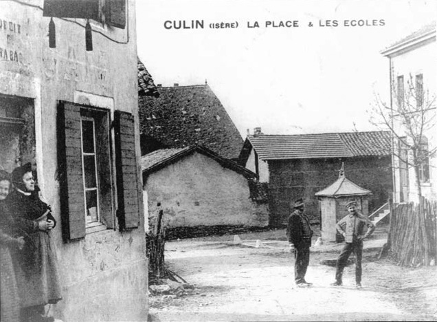 Culin