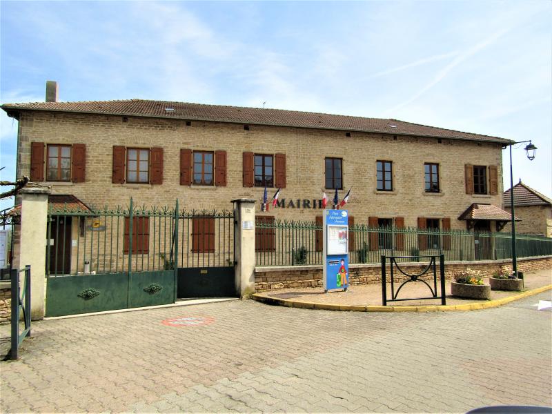 Roche