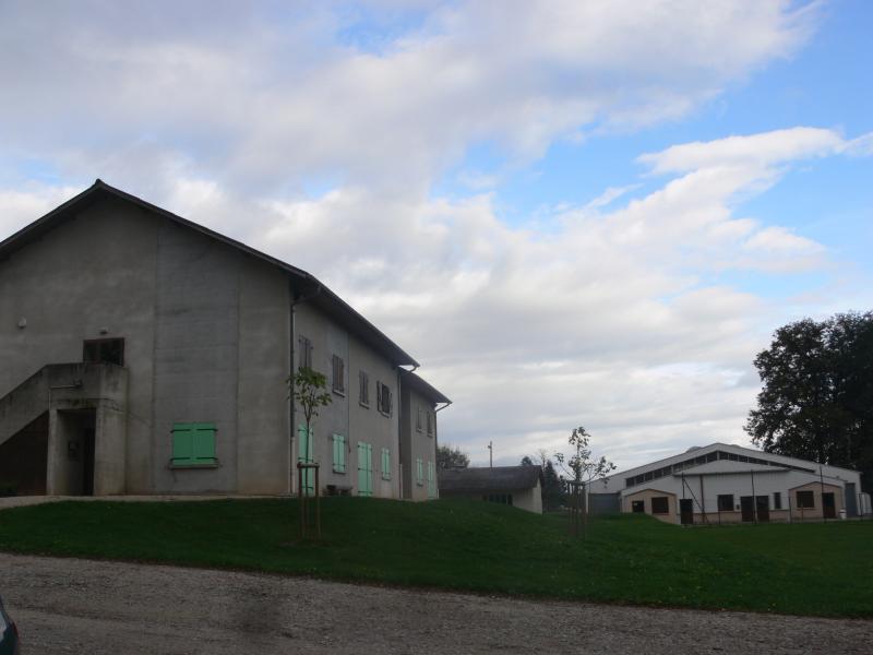 Saint-André-le-Gaz