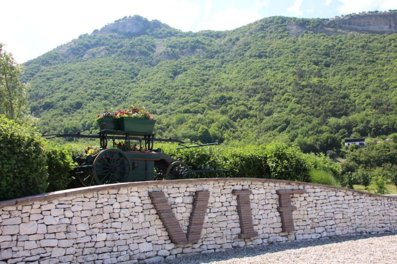 Vif