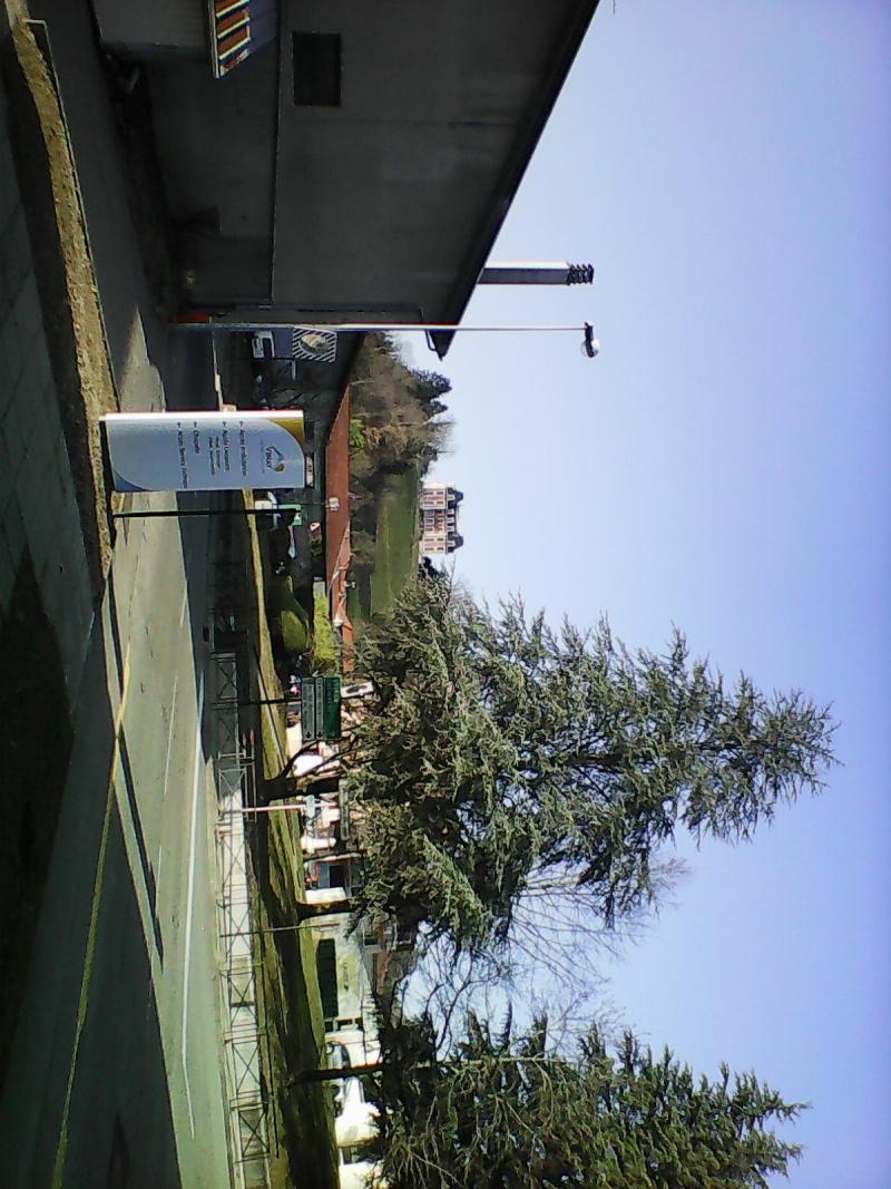Vinay