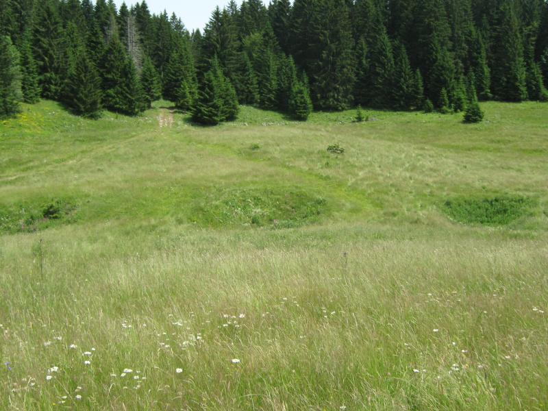 Bellecombe