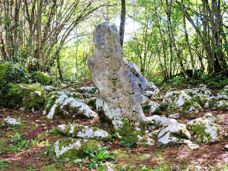 Chaux-des-Crotenay