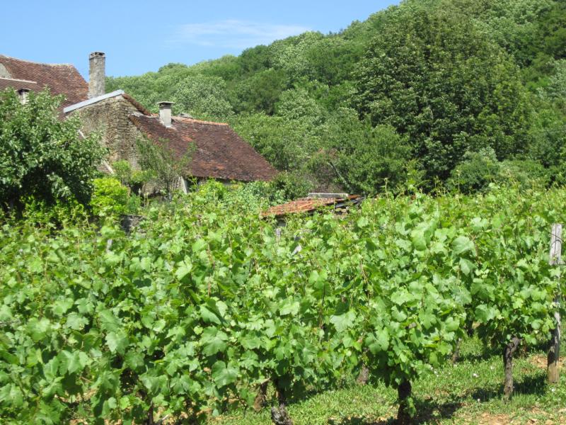 Menétru-le-Vignoble