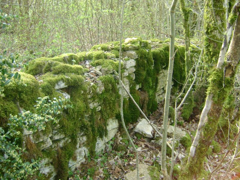 Pimorin