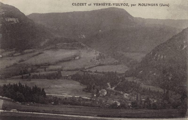 Vulvoz