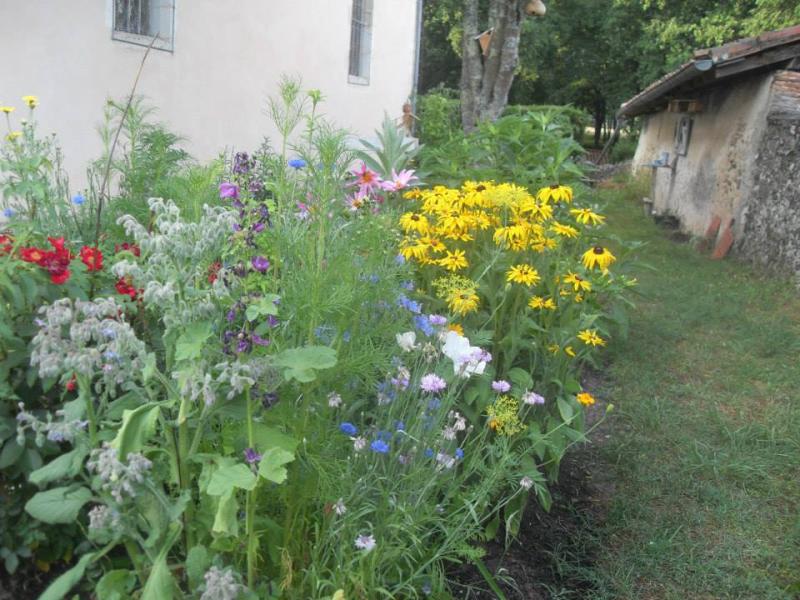 Bélis