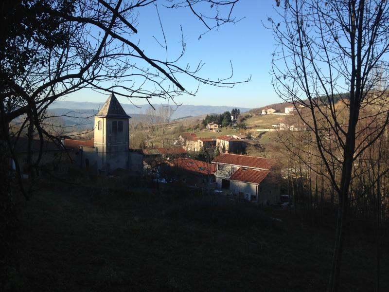 Pavezin