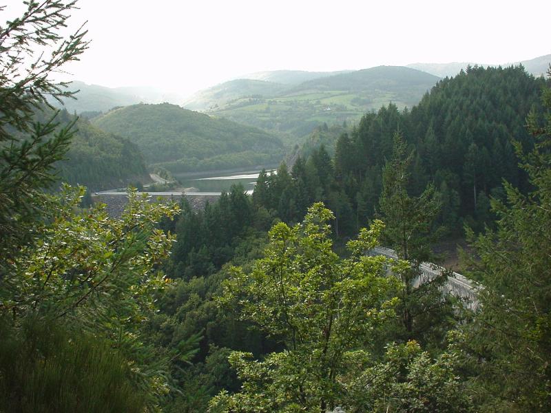 Renaison