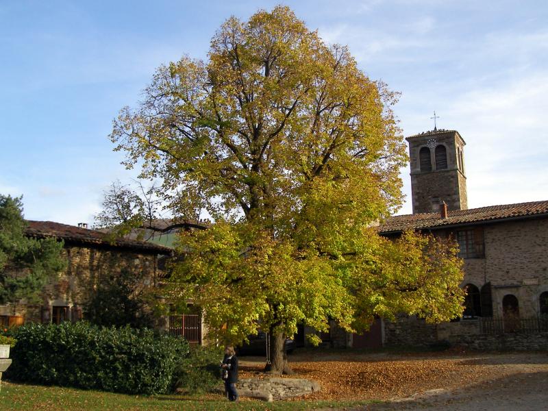 Sainte-Croix-en-Jarez