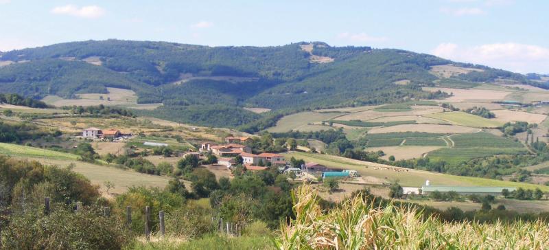Saint-Martin-la-Plaine