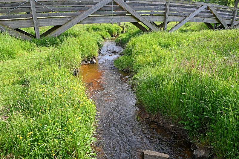 Usson-en-Forez