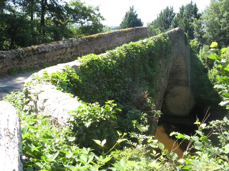 Fontannes