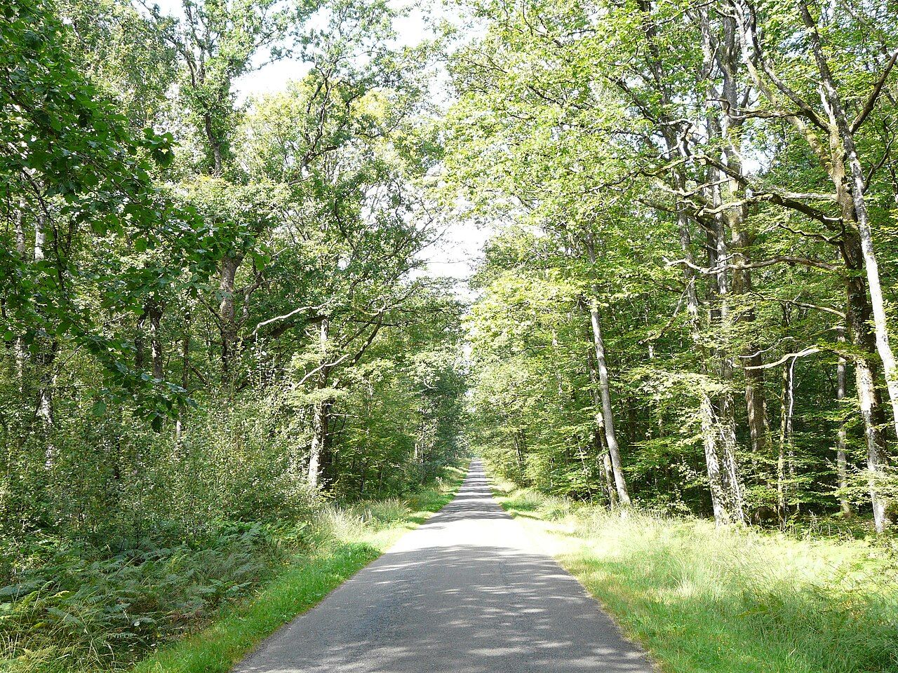 Photo 6 — Juigné-des-Moutiers, Loire-Atlantique (44670)