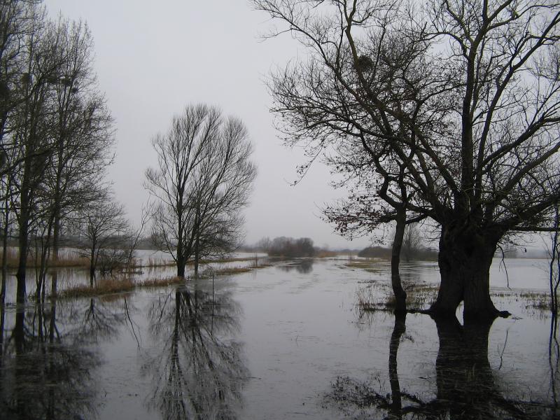 Le Landreau