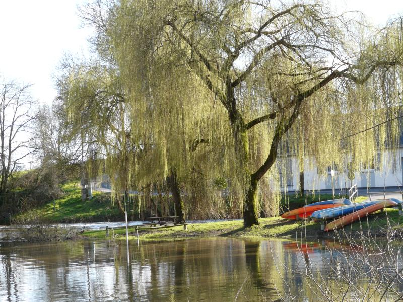 Nort-sur-Erdre