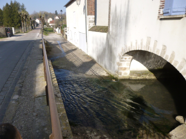 Courtenay