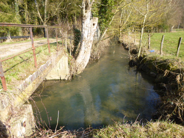 Courtenay