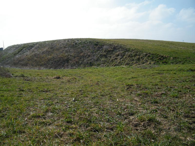 Tournoisis