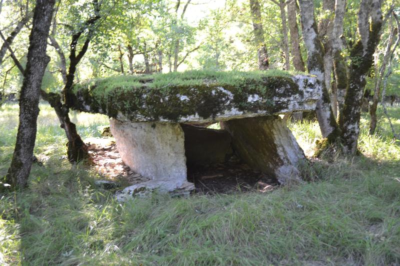 Issendolus