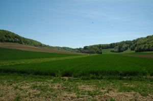Saint-Antoine-de-Ficalba