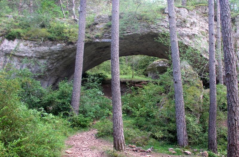 Saint-Pierre-des-Tripiers