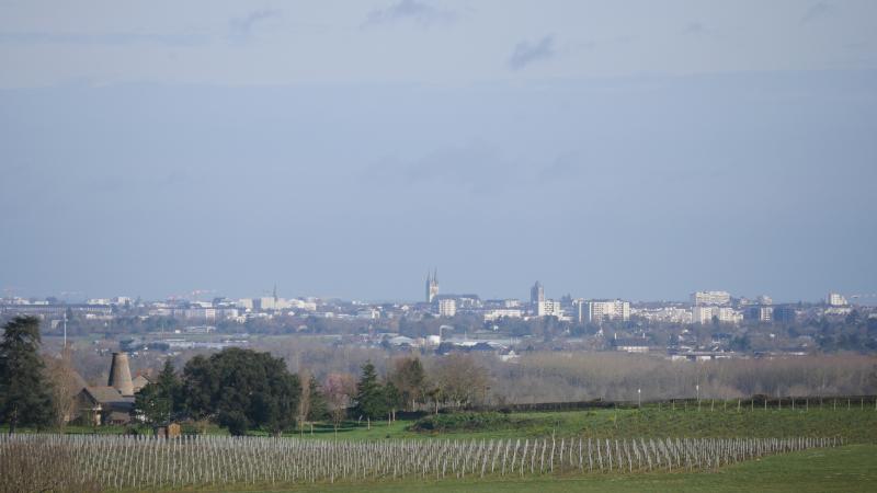 Mozé-sur-Louet