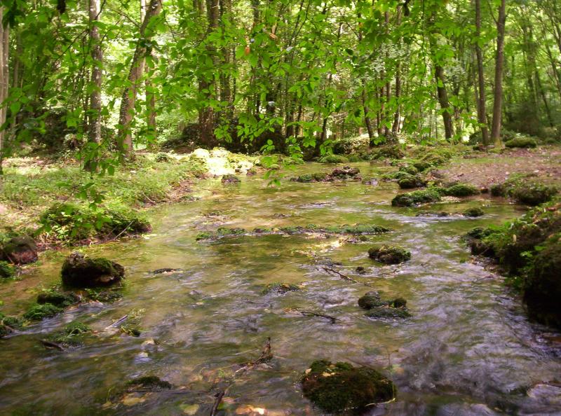 Saint-Martin-d'Ablois