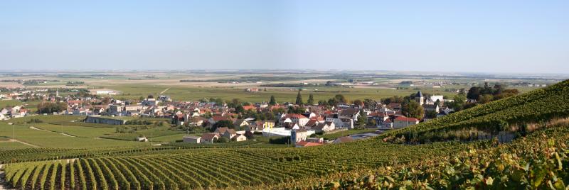 Avize