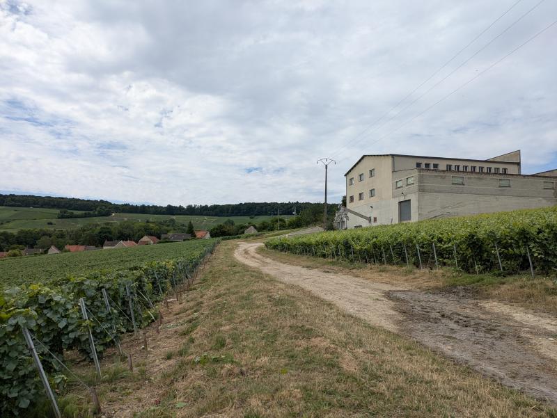 Mareuil-Le-Port, Marne