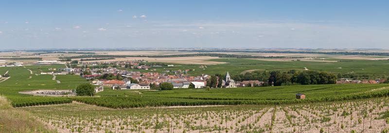 Le Mesnil-sur-Oger